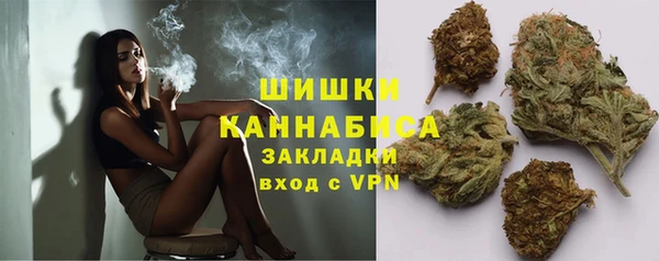 стаф Магас
