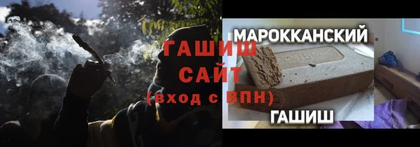 стаф Магас