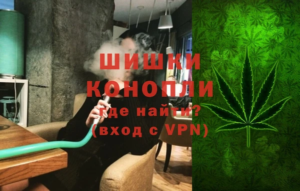 стаф Магас