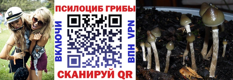 Галлюциногенные грибы ЛСД  где найти   сайты даркнета официальный сайт  Иноземцево 